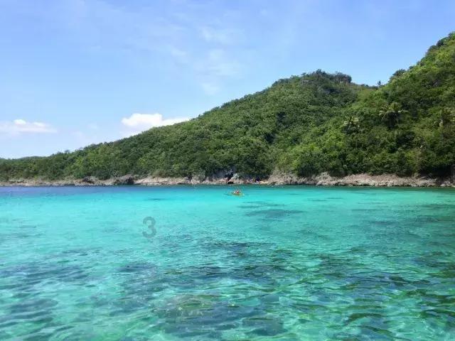动物滑动拼图